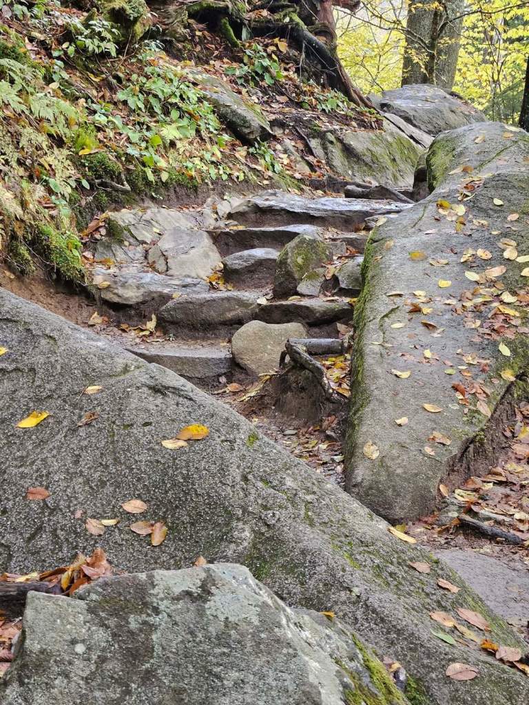 AT - trail 1 stairs going up the hill